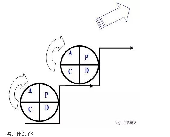 S2.jpg