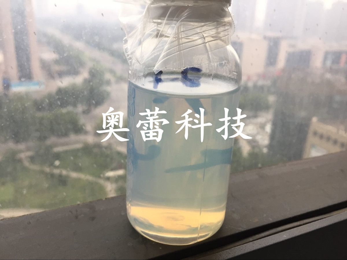ɿ졢ճ
