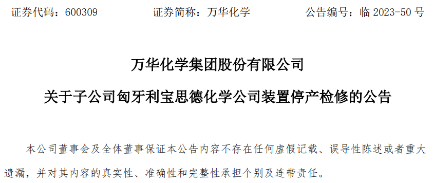 wanhua.png