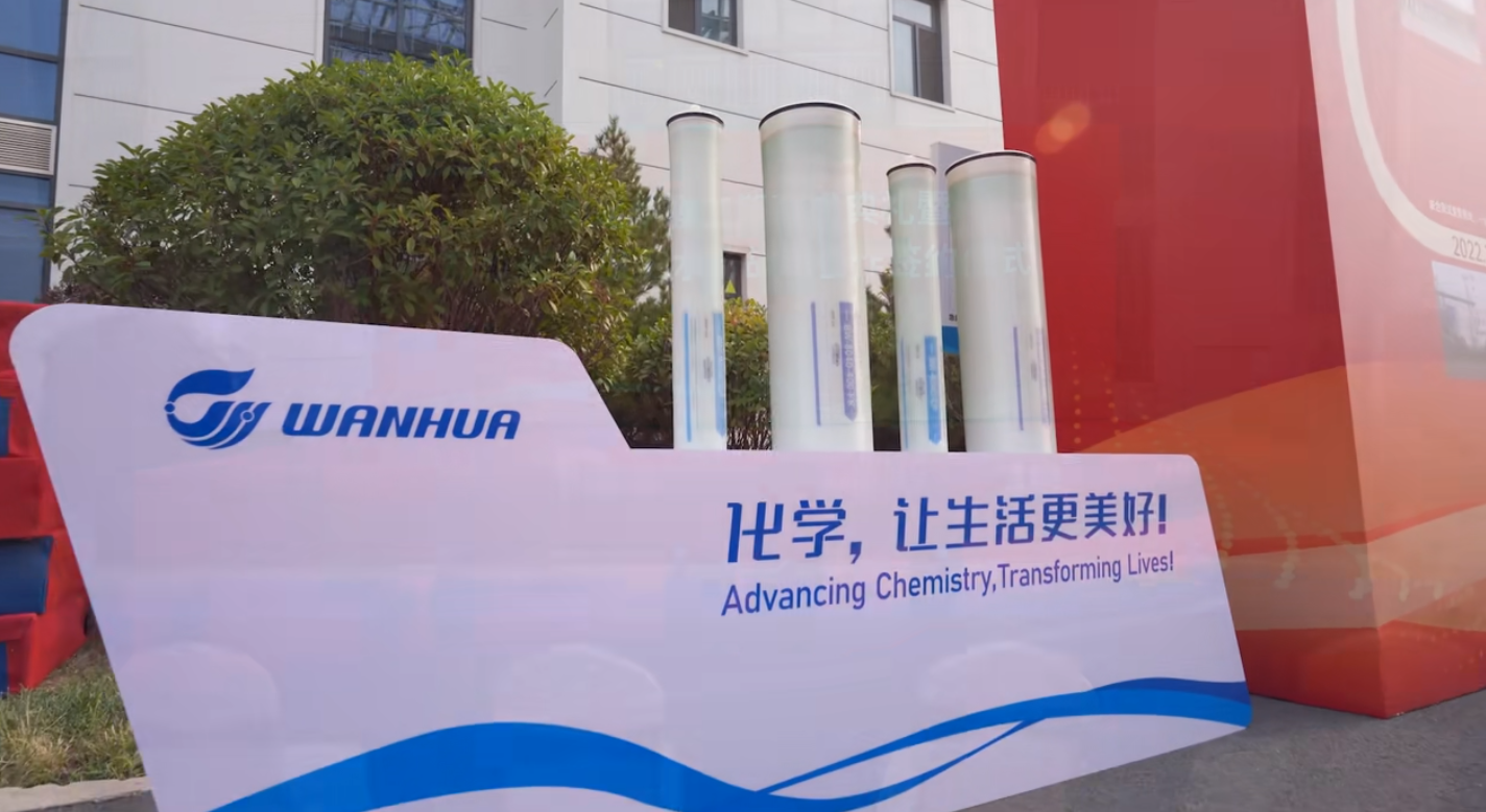 wan1.jpg