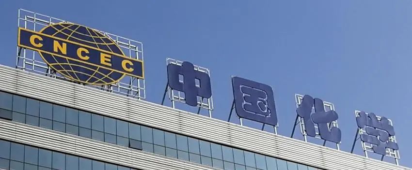 zg.jpg