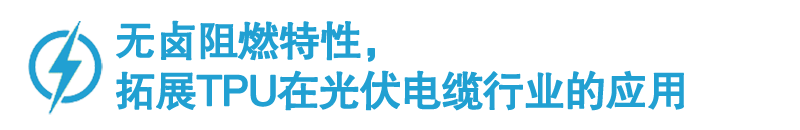 tpu2.jpg