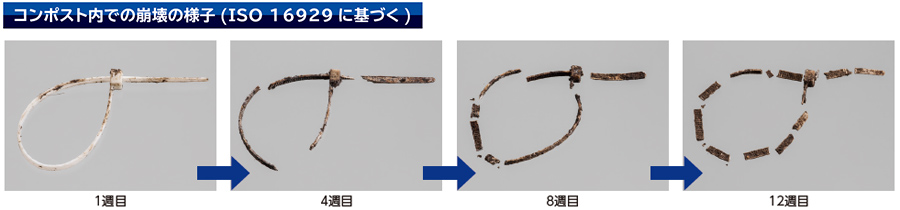 za1.jpg