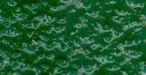 3.webp.png
