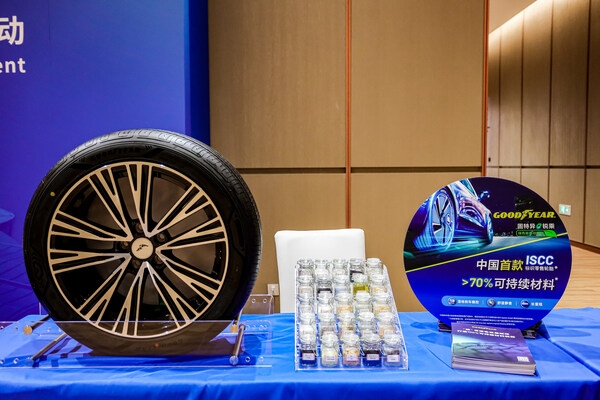 Goodyear_EDS_Tire_Displayed_at_2024_CIIE.jpg