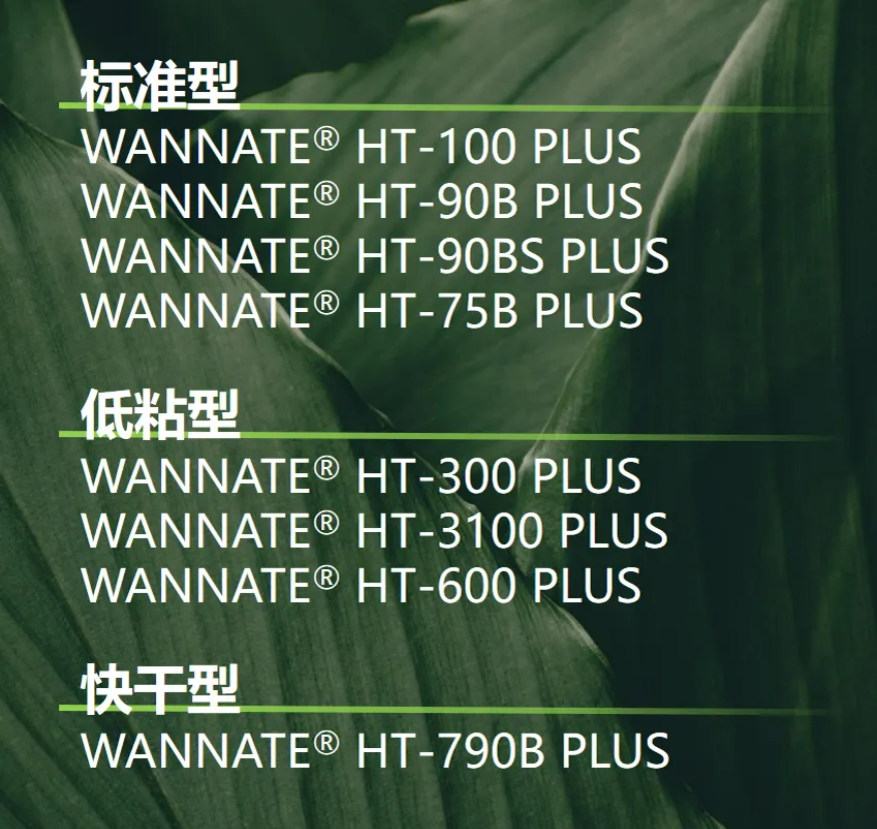20250103101936_3681.png