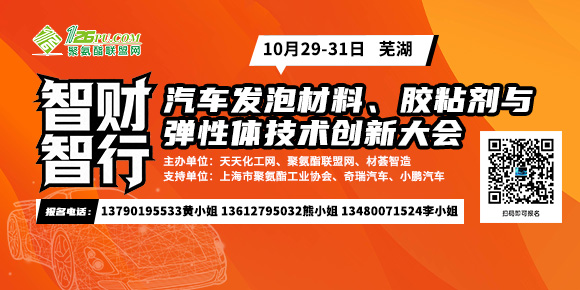 2025弹性体材料成本与技术创新10月29-31日
